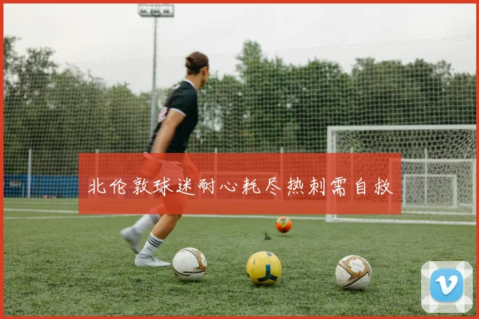 北伦敦球迷耐心耗尽热刺需自救