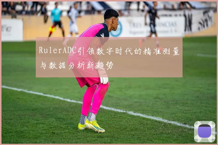 RulerADC引领数字时代的精准测量与数据分析新趋势