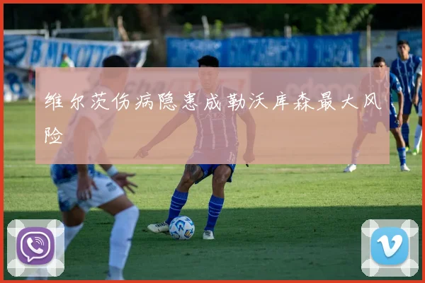 维尔茨伤病隐患成勒沃库森最大风险