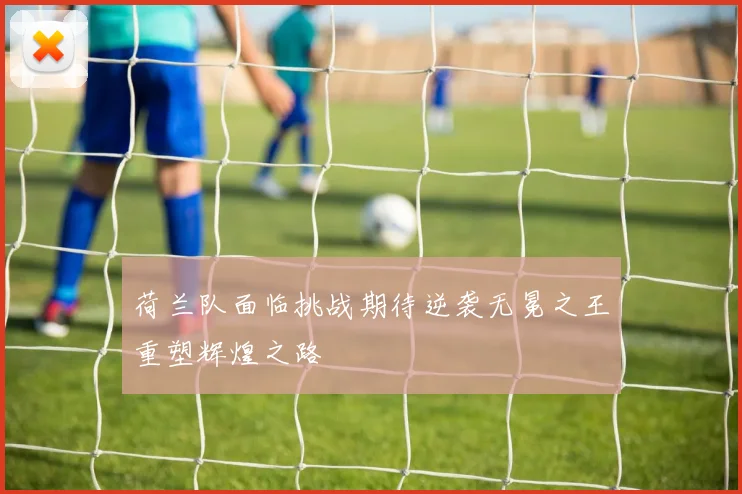 荷兰队面临挑战期待逆袭无冕之王重塑辉煌之路