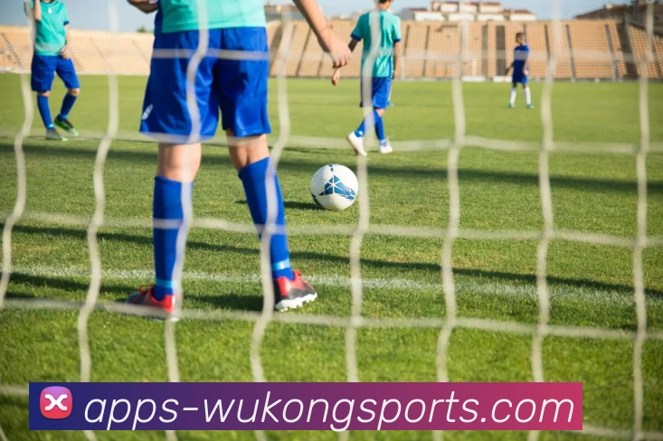 世界杯的荣耀与梦想交织在一起球迷热情点燃全球盛宴